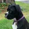 Profile Picture of Aimee Alexander (@polkadotsheepwf) on Tiktok