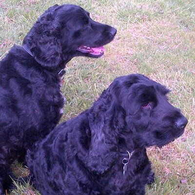 Profile Picture of Glenn Mooney (@@GlennyMoo) on Twitter