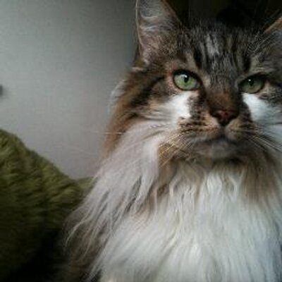 Profile Picture of Pandora Thomas (@PrincessPanndy) on Twitter