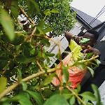 Profile Picture of Jun Ior (@raymond.patrick.9659) on Instagram
