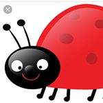 Profile Picture of Erica Blackston (@ladybugclassk5) on Instagram