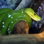 Profile Picture of JIM (@jimnunnallyg6) on Instagram