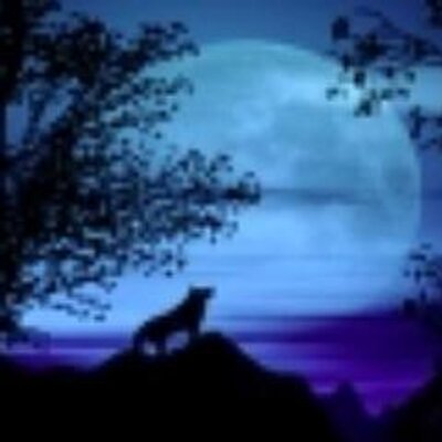 Profile Picture of Benjamin Burgos (@Poetcaster) on Twitter