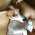 Profile Picture of Clemente Cisneros (@klemonster) on Instagram