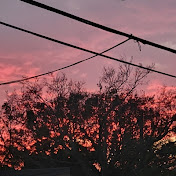 Profile Picture of Olivia Hale (@theresahale2765) on Youtube