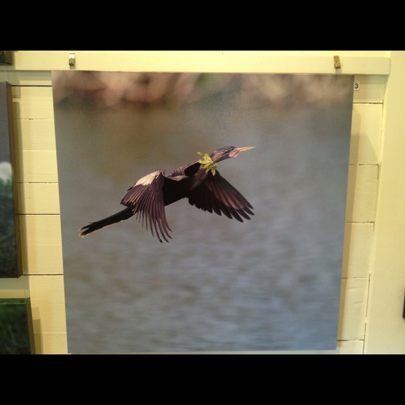 Profile Picture of Laurie Licker (@licker) on Poshmark