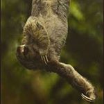 Oliver Peach - Instagram Profile Picture of Oliver Peach (@olivernicholas757) on Instagram