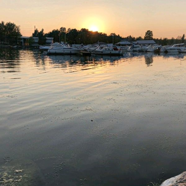 Profile Picture of dennis_wichers (@dennis_wichers) on Tiktok