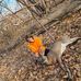 Profile Picture of Eric Hodgen (@eric.hodgen.1) on Facebook