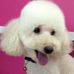 Profile Picture of Mike Wong (@mike.wong.311056) on Facebook