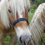 Andrea Moles - Instagram Profile Picture of Andrea Moles (@andrea.moles) on Instagram