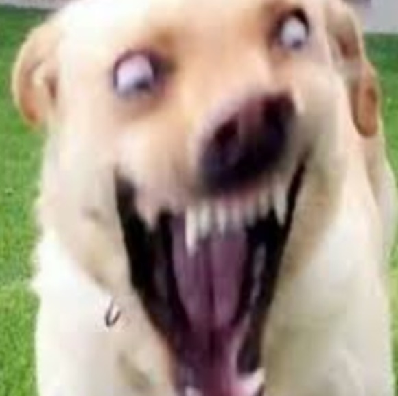 Profile Picture of Mark Mullikin (@markmullikin) on Poshmark