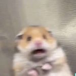 Profile Picture of james hōlbrōōk🚬🖤⛓ (@evoluthians) on Instagram