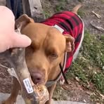 Profile Picture of Cassarino Emanuele (@Cassarino-Emanuele) on Facebook