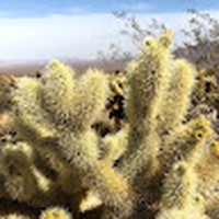 Profile Picture of Randolph Lopez (@randolph-lopez-7) on Quora