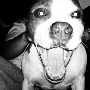 Profile Picture of Herbsmoke Hank (@handkerchief) on Myspace