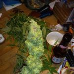 Profile Picture of Nathan Buskirk (@nathan.buskirk) on Instagram