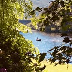 Profile Picture of Laura Covault (@Laura-Covault) on Facebook