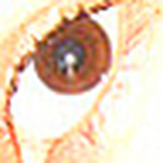 Rocio Zepeda - Flickr Profile Picture of Rocio Zepeda (@chi.o) on Flickr