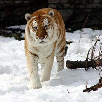 Profile Picture of David Martínez Polin (@DavidXd2003) on Twitter