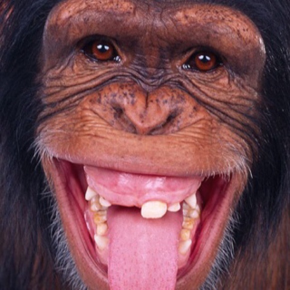 Profile Picture of Raymond Kneipp (@rkneippjr) on Poshmark