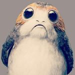 Profile Picture of Sarah-Jane Blum (@blumsarahjane) on Instagram