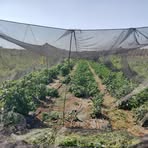 Profile Picture of Jeremy Gelber (@jeremy.gelber.2025) on Facebook