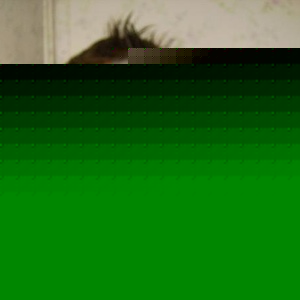 Profile Picture of Devin Hutchinson (@devin62497) on Myspace