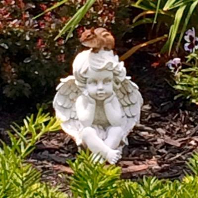 Profile Picture of Jon Alderman (@judy2640) on Twitter