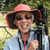 Profile Picture of Marilyn Perry (@marilynperry7600) on Youtube