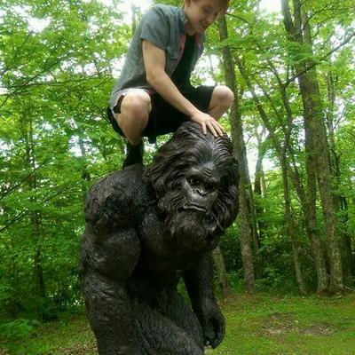 Profile Picture of Robert Carty (@robertcartt16) on Twitter