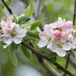 Profile Picture of Vicky Butcher (@butcher_vicky) on Instagram