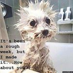 Profile Picture of Marty Phillips (@marty.phillips.9047) on Instagram