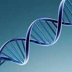 Profile Picture of Биология/ Կենսաբանություն💛 (@kensabanutyun_2020) on Instagram