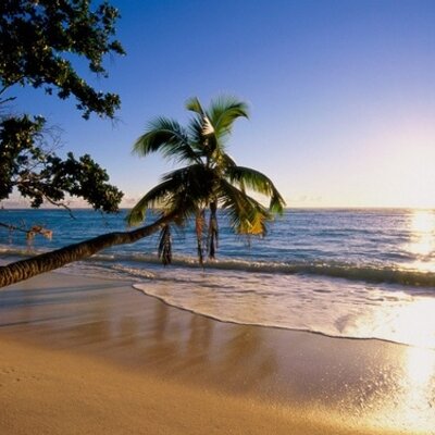 Profile Picture of Aaron Brockington (@blessfresh7) on Twitter