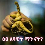 Profile Picture of Mele Gonder (@mele.gonder.2025) on Facebook