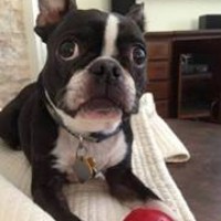 Profile Picture of Sherry Calder (@sherry-calder) on Quora