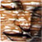 Profile Picture of HANS PETER GUTMANN (@HANS PETER GUTMANN) on Flickr