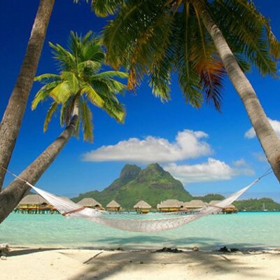 Profile Picture of John Erik Oden (@johnnyfaster) on Twitter