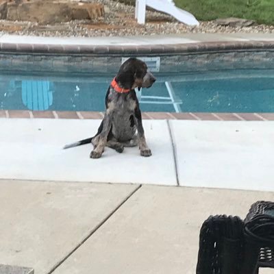 Profile Picture of Chad Kowalski (@KowalskiChad) on Twitter