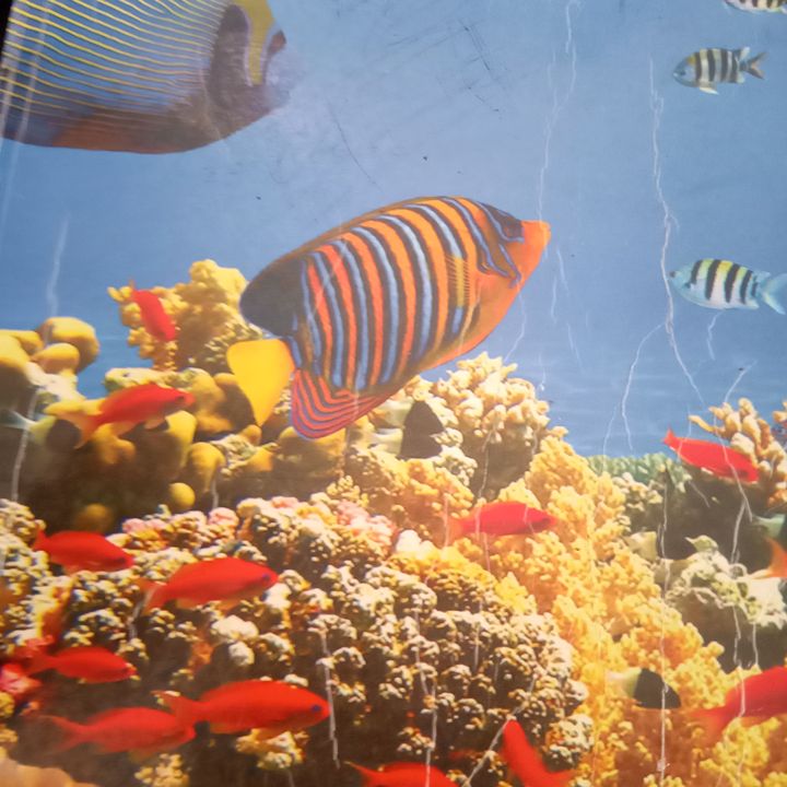 Profile Picture of Asitha Perera7157 (@asithaperera24) on Tiktok