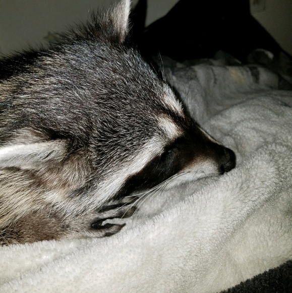 Profile Picture of Kathy Fisbeck (@dylankathy12) on Poshmark