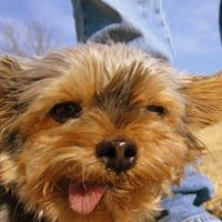 Profile Picture of Angie Whitaker (@angie-whitaker-2) on Quora