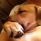 Profile Picture of Tracy Kelso (@tracy.kelso.52) on Facebook