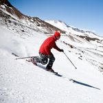 Profile Picture of Michael Limmer (@michael_l1mmer) on Instagram