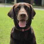 Profile Picture of Andrew Harbin (@andrew.harbin.3597) on Instagram