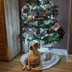 Profile Picture of Huguette Wroblewski (@huguette.wroblews) on Tiktok