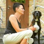 Sylvia Jordan - Instagram Profile Picture of Sylvia Jordan (@sylviajordan8888) on Instagram