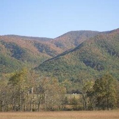 Profile Picture of James Dendy (@lowdendy) on Twitter