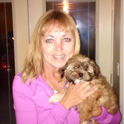 Profile Picture of Lori McMillan (@PDHOCKEYMOM) on Twitter